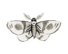 Load image into Gallery viewer, The Moth Stickers
